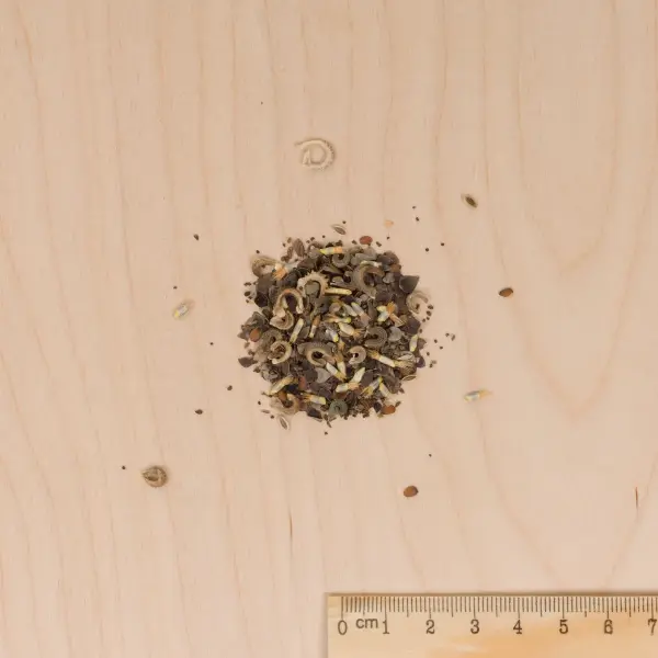 Mélanges de fleurs - Coin ombre - 7 m² - Mélange de fleurs - MEDIA_3D